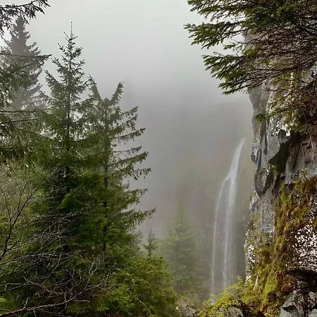 Apartment Ideal Sejour -